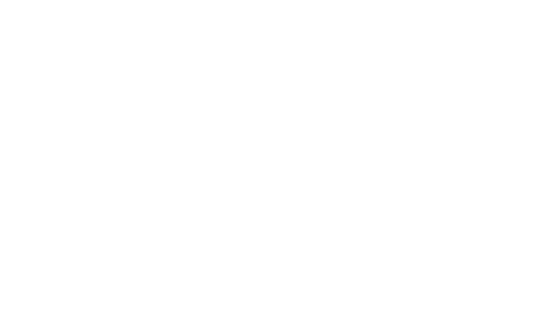 Rise Vision
